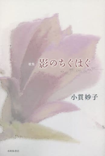 陰のちぐはぐ 小貫妙子