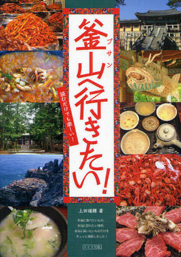 釜山へ行きたい! 上田 瑞穂