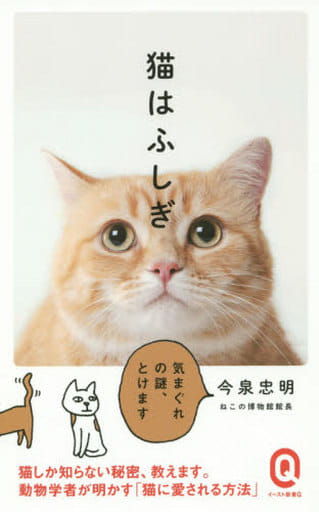 猫はふしぎ (イースト新書Q) [新書] 今泉忠明