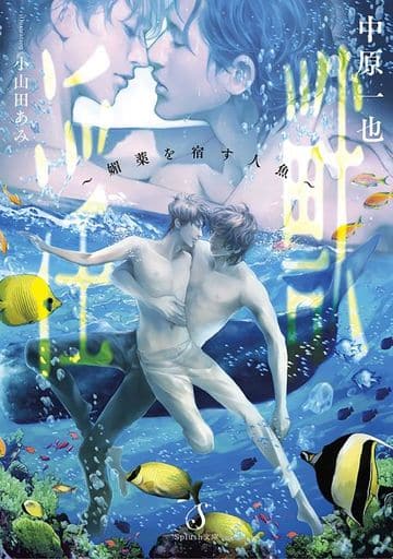 淫獣~媚薬を宿す人魚~ (Splush文庫) [文庫] 中原一也