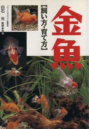 金魚: 飼い方・育て方 [Jul 01， 1996]