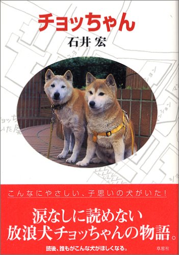 チョッちゃん [Oct 01， 2005] 石井 宏