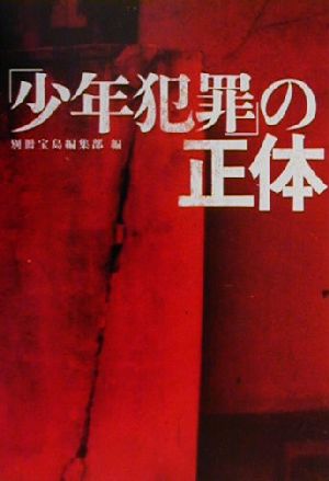 少年犯罪の正体 (宝島社文庫) 別冊宝島編集部