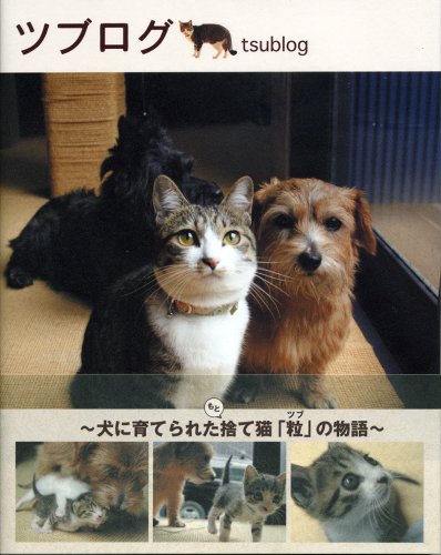 ツブログ [Aug 08， 2007] ごとう けいこ