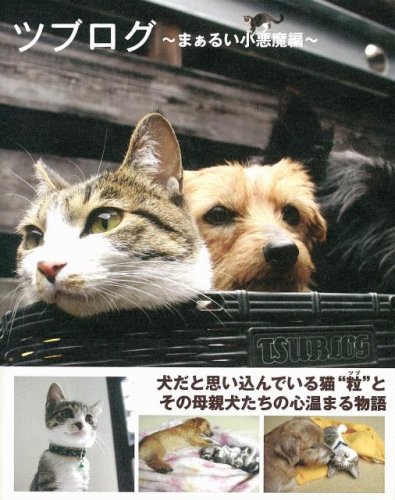 ツブログ ~まぁるい小悪魔編~ [Mar 08, 2008] ごとう けいこ