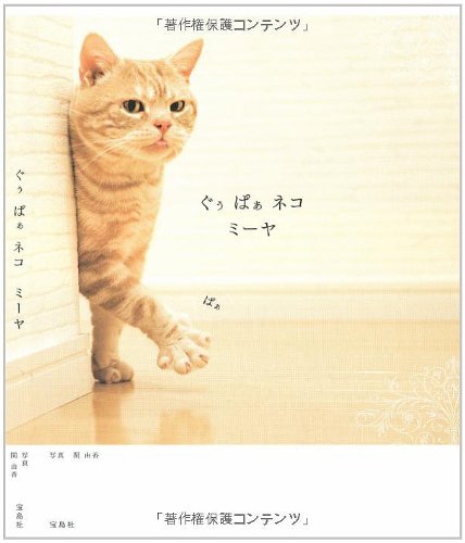 ぐぅぱぁネコ ミーヤ [May 20， 2008] 関由香