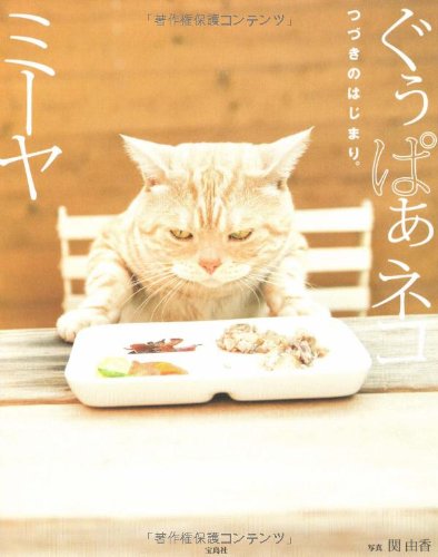 ぐぅぱぁネコ ミーヤ つづきのはじまり。 [Dec 10, 2008] 関 由香
