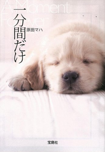 一分間だけ (宝島社文庫) (宝島社文庫 C は 2-2) [Jun 05， 2009] 原田 マハ