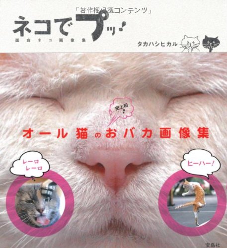 ネコでプッ! 面白ネコ画像集 [Jul 05， 2012] タカハシ ヒカル