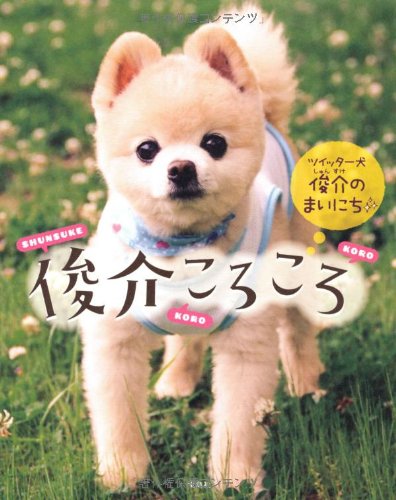 俊介ころころ～ツイッター犬 俊介のまいにち～ [Jul 08, 2011]