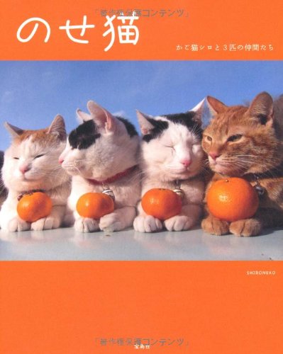 のせ猫～かご猫シロと3匹の仲間たち [Feb 16， 2012] SHIRONEKO