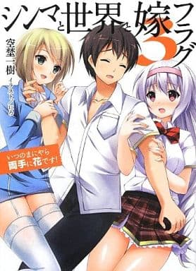 シンマと世界と嫁フラグ3 ~いつのまにやら両手に花です! ~ (HJ文庫 そ 1-3-3) 空埜一樹; にろ