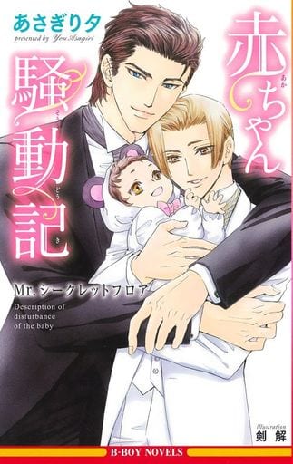赤ちゃん騒動記 ~Mr.シークレットフロア~ (ビーボーイノベルズ) [新書] あさぎり 夕; 剣 解