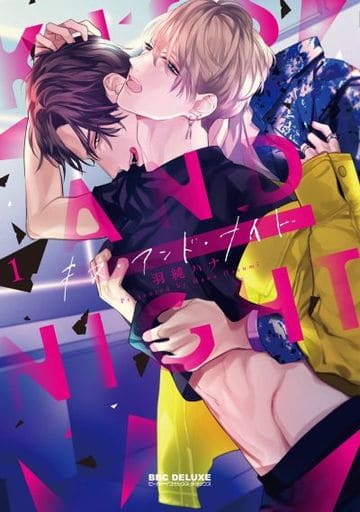 キス・アンド・ナイト(1) (ビーボーイコミックスデラックス) [コミック] 羽純 ハナ