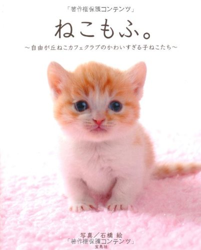 ねこもふ。 [Jan 26， 2013] 石橋 絵