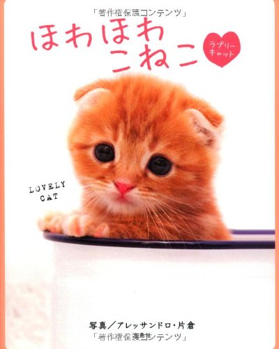 【写真集】 ほわほわこねこ [May 27， 2013] アレッサンドロ・片倉; アレッサンドロ・片倉