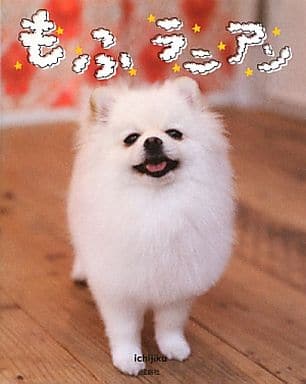 もふラニアン [Jul 05， 2013] ichijiku