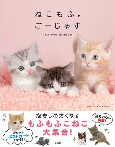 ねこもふ。ごーじゃす【本書限定ポストカード2枚付き】 小川 晃代; 湯沢 祐介