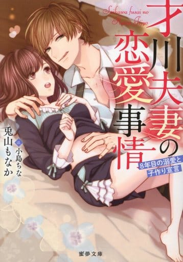 才川夫妻の恋愛事情 8年目の溺愛と子作り宣言 (蜜夢文庫) 兎山 もなか; 小島 ちな