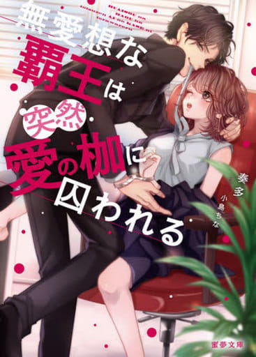 無愛想な覇王は突然愛の枷に囚われる (蜜夢文庫 65) 奏多; 小島 ちな