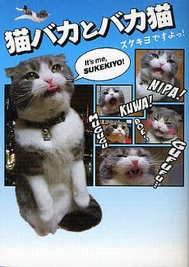 猫バカとバカ猫 スケキヨですよっ！ 文庫版 にょーたろー