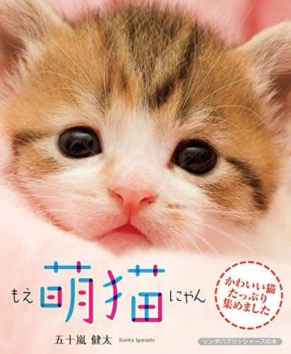萌猫(もえにゃん) (リンダパブリッシャーズの本) 五十嵐 健太