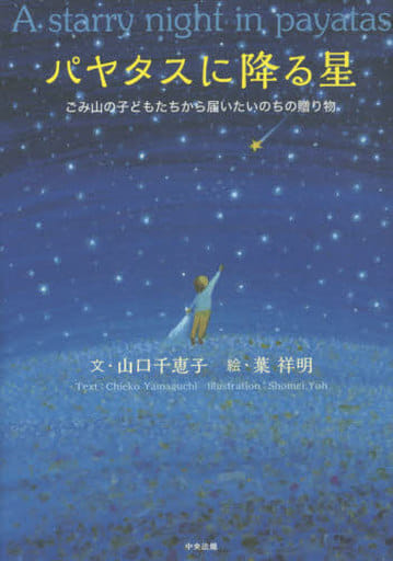 パヤタスに降る星: ごみ山の子どもたちから届いたいのちの贈り物 山口 千恵子; 葉 祥明