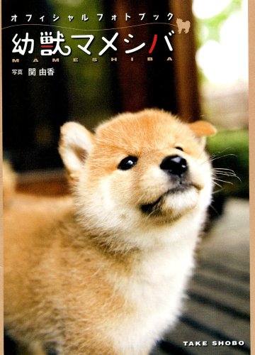 幼獣マメシバオフィシャルフォトブック 写真:関由香
