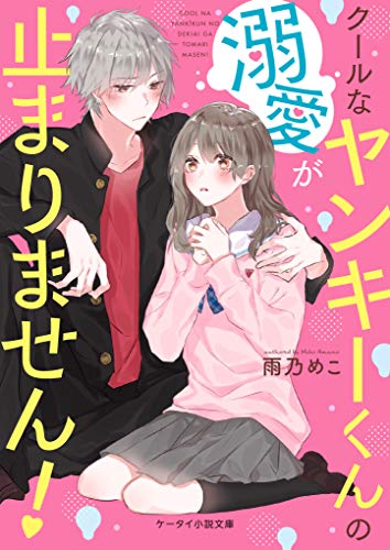 クールなヤンキーくんの溺愛が止まりません! (ケータイ小説文庫) [文庫] 雨乃 めこ