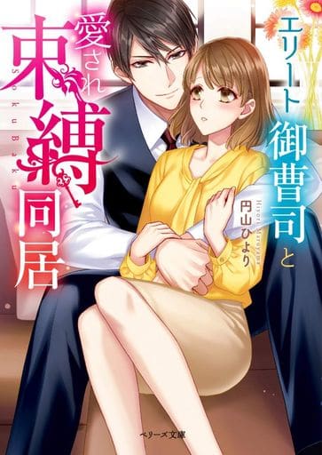 エリート御曹司と愛され束縛同居 (ベリーズ文庫) [文庫] 円山ひより