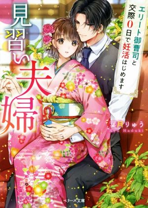 見習い夫婦~エリート御曹司と交際0日で妊活はじめます~ (ベリーズ文庫) [文庫] [Mar 10， 2020] 葉月りゅう