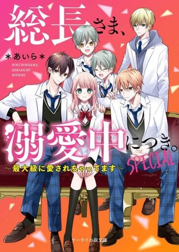 総長さま、溺愛中につき 。SPECIAL~最大級に愛されちゃってます~ (ケータイ小説文庫) ＊あいら＊