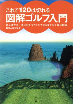 図解ゴルフ入門: これで120は切れる 初心者がコースに出てラウンドできるまでを丁寧に解説 [Jun 01， 1995]