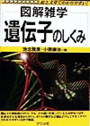 遺伝子のしくみ: 絵と文章でわかりやすい (図解雑学) [Sep 01， 1998] 池北 雅彦; 小原 康治