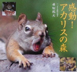 感動アカリスの森: ロッキー山脈の四季 原田 純夫