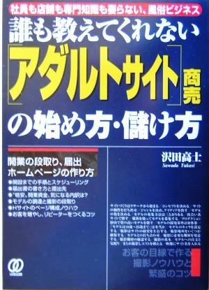 アダルトサイト商売の始め方・儲け方: 社員も店舗も専門知識も要らない、風俗ビジネス 誰も教えてくれない 沢田 高士