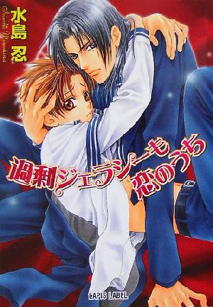 過剰ジェラシーも恋のうち (LAPIS LABEL) [Aug 01， 2005] 水島 忍; 明神 翼