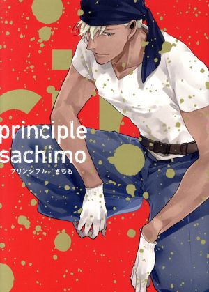 プリンシプル (花音コミックス) さちも