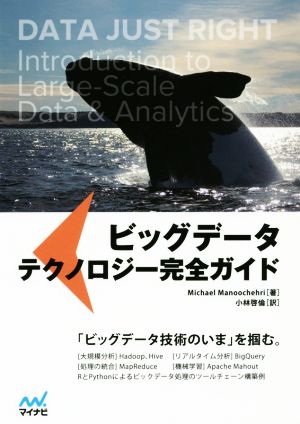 ビッグデータ テクノロジー完全ガイド Michael Manoochehri; 小林 啓倫