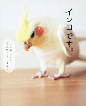 インコです。 [Sep 29， 2014] 白田 祐樹