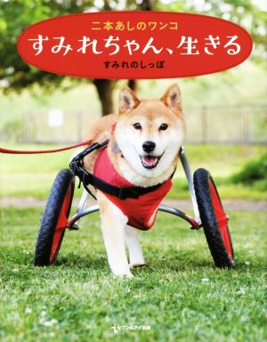 二本あしのワンコ すみれちゃん、生きる [Sep 17， 2016] すみれのしっぽ