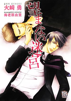 望まない迷宮 (ローズキー文庫) [文庫] 火崎勇; 海老原由里