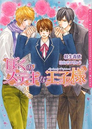 ぼくのステキな王子様 (DARIA BUNKO) [文庫] 桂生 青依; 日向 せいりょう