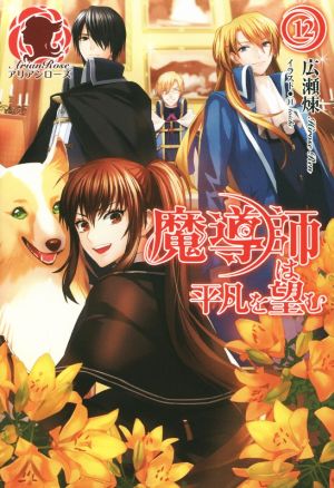 魔導師は平凡を望む 12 (アリアンローズ) [単行本（ソフトカバー）] [Jan 12， 2016] 広瀬 煉; 11