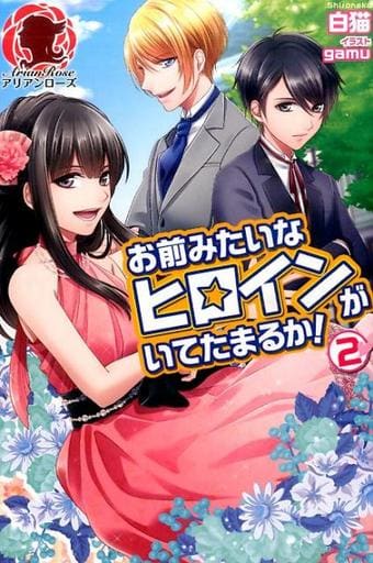 お前みたいなヒロインがいてたまるか! 2 (アリアンローズ) [単行本（ソフトカバー）] 白猫; gamu