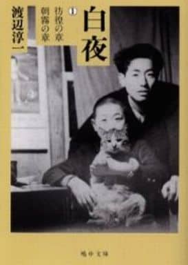 白夜 1 彷徨の章/朝霧の章 (嶋中文庫 わ 1-1) 渡辺 淳一