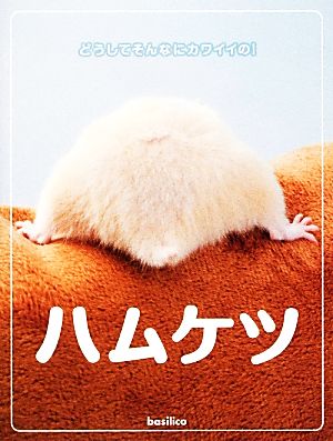 ハムケツ [単行本（ソフトカバー）] [Mar 12， 2014] manic