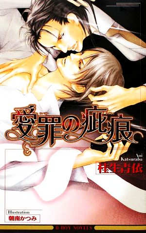 愛罪の疵痕 (ビーボーイノベルズ) (B-BOY NOVELS) [単行本] 桂生 青依; 朝南 かつみ