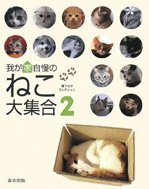 我が家自慢のねこ大集合 2: 猫ブログコレクション