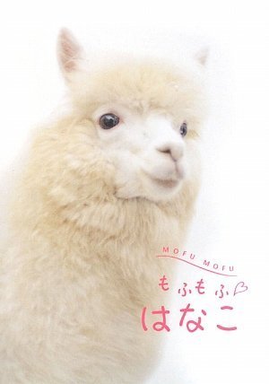 もふもふはなこ [単行本] [Jan 26， 2009] 那須アルパカ牧場 佐藤亜矢子 久保多佳子; 高田千鶴